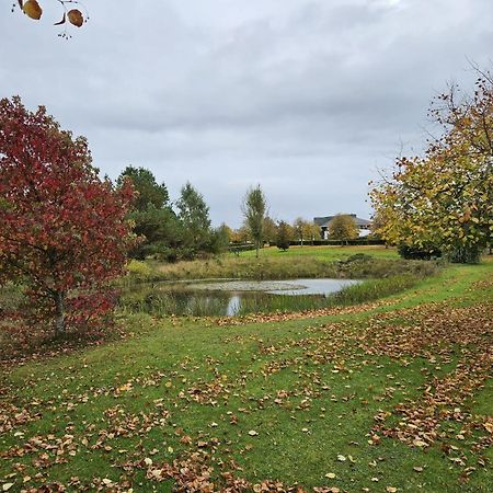 Hazelwood Country House Adare Zewnętrze zdjęcie