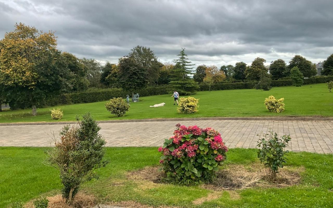 Hazelwood Country House Adare Zewnętrze zdjęcie