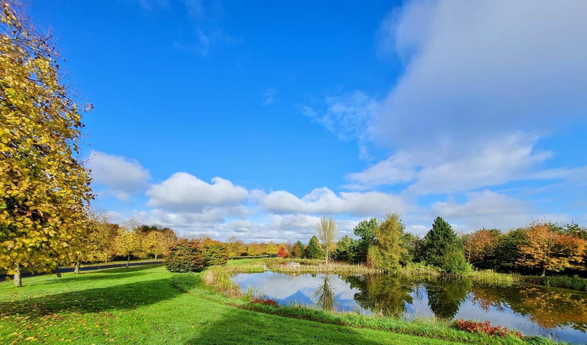 Hazelwood Country House Adare Zewnętrze zdjęcie