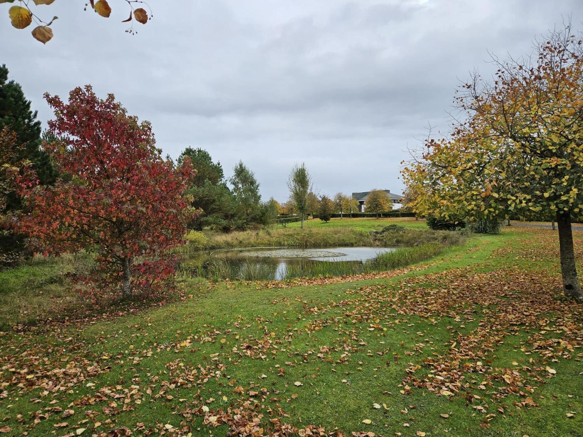 Hazelwood Country House Adare Zewnętrze zdjęcie