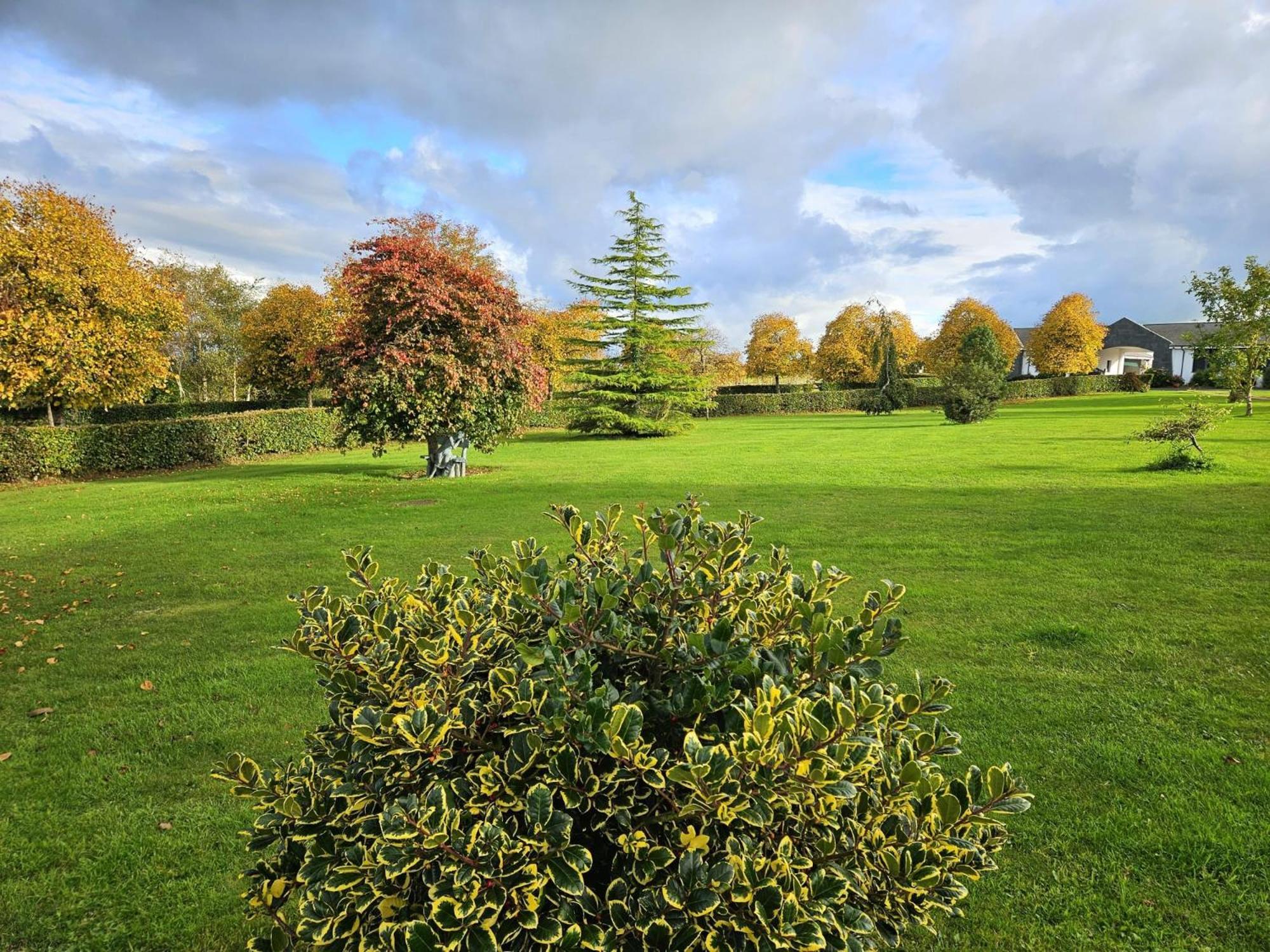Hazelwood Country House Adare Zewnętrze zdjęcie