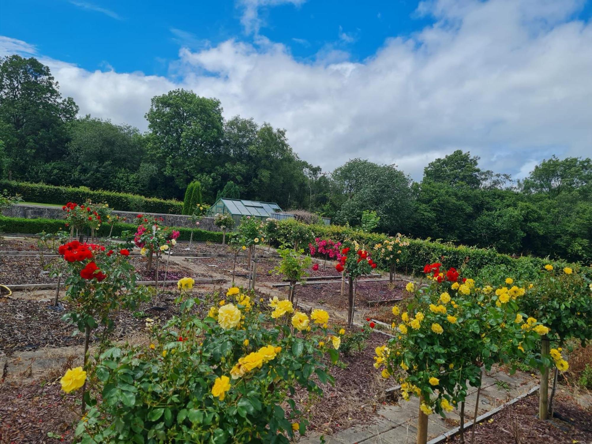 Hazelwood Country House Adare Zewnętrze zdjęcie